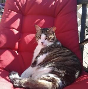 Meet your Posher, Nancy